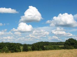 Figure 2 Cumulus clouds of little vertical development.jpg